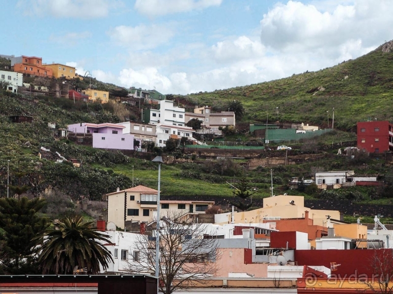 Пальма первенства 