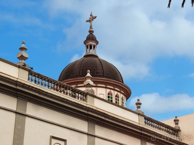 Пальма первенства 