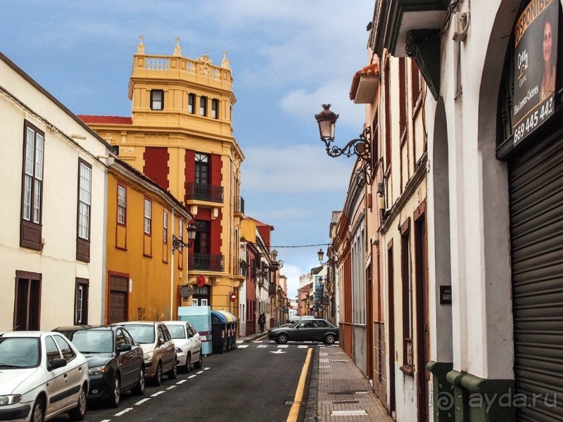 Пальма первенства 