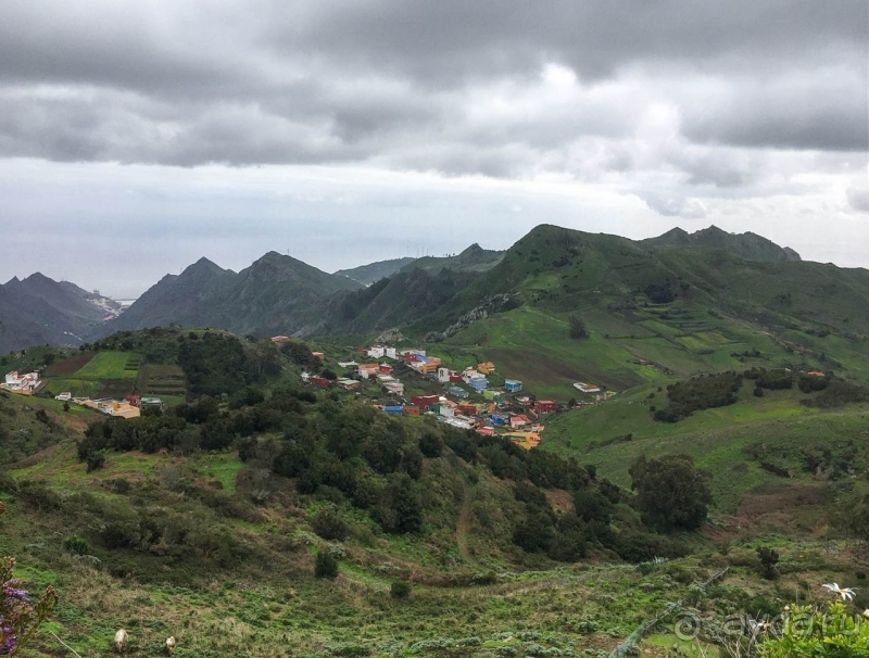 Пальма первенства 