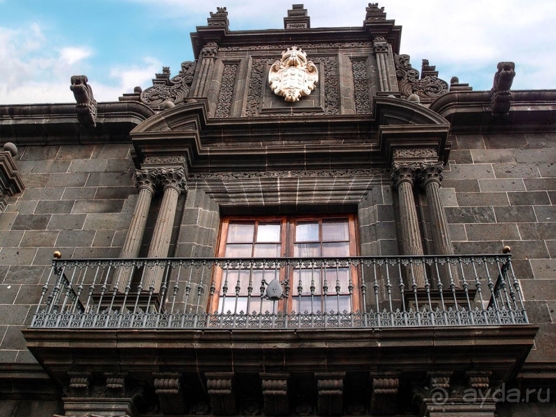 Пальма первенства 