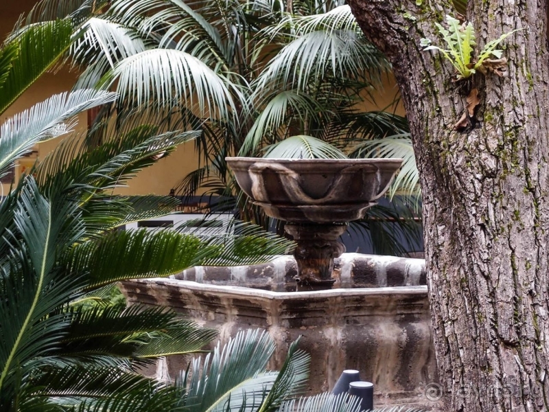 Пальма первенства 