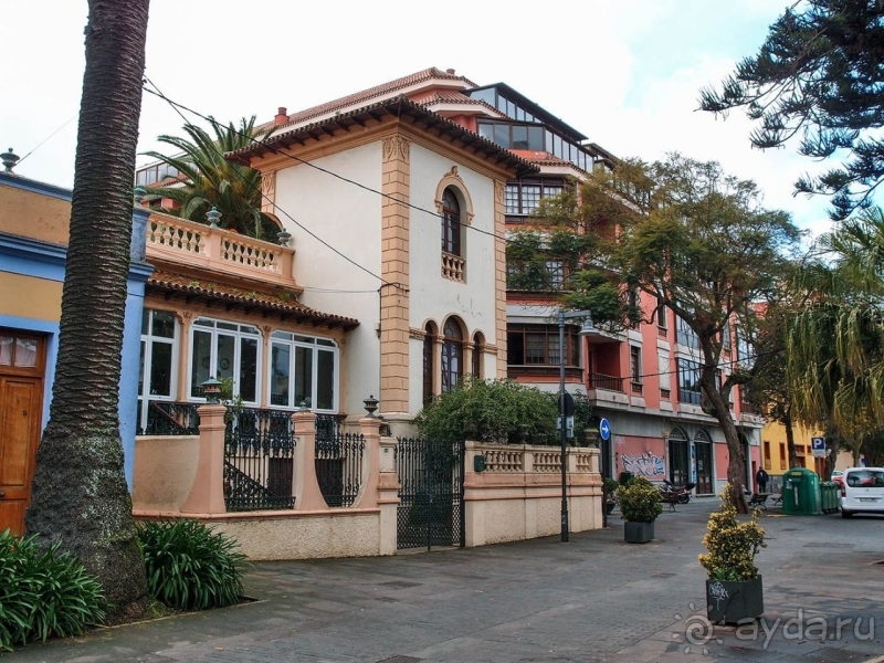 Пальма первенства 