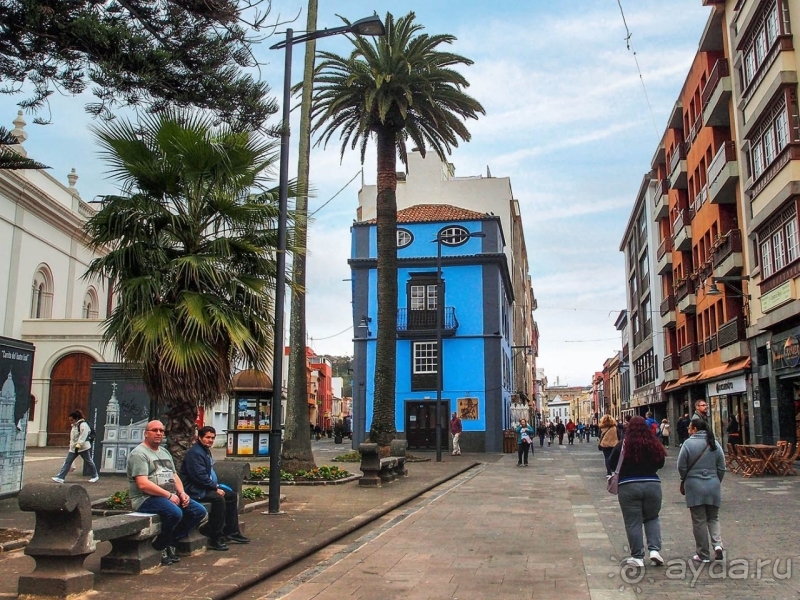 Пальма первенства 