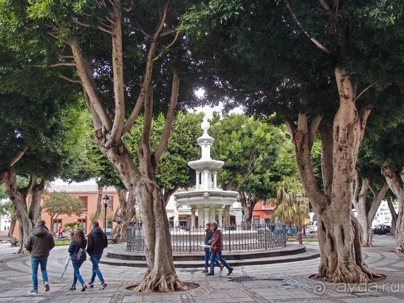 Пальма первенства 