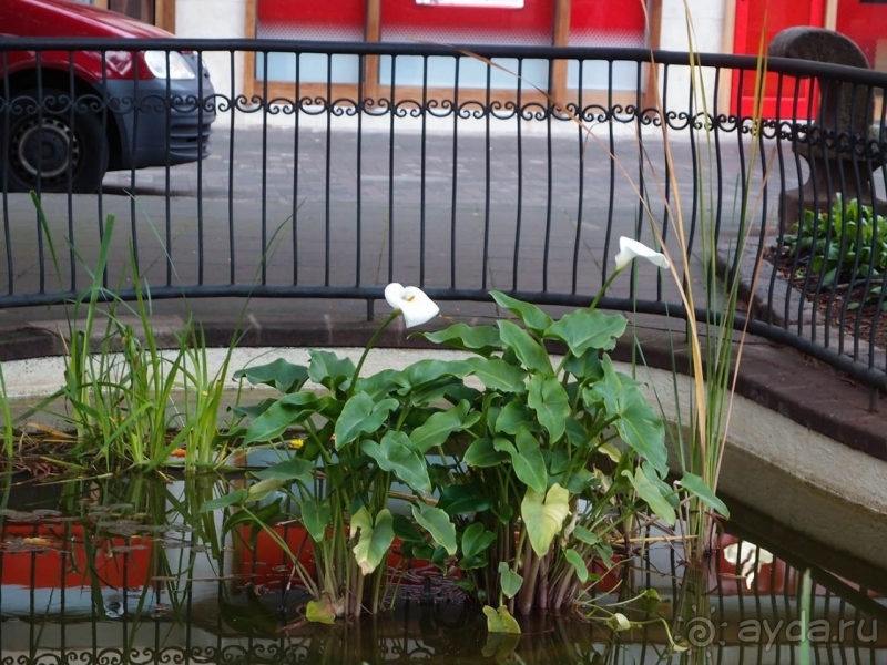 Пальма первенства 