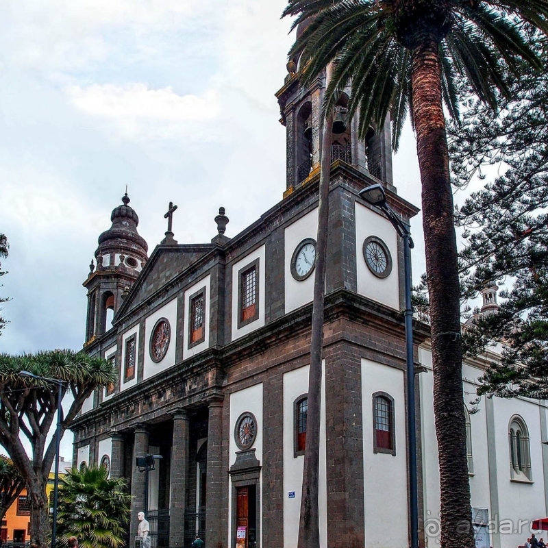 Пальма первенства 