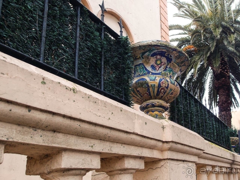 Пальма первенства 