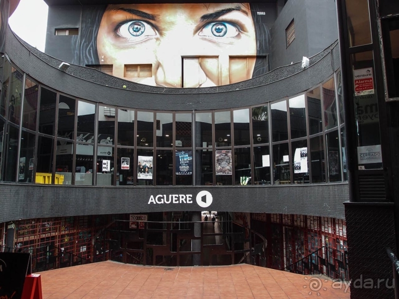 Пальма первенства 