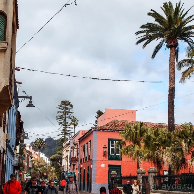 Пальма первенства 