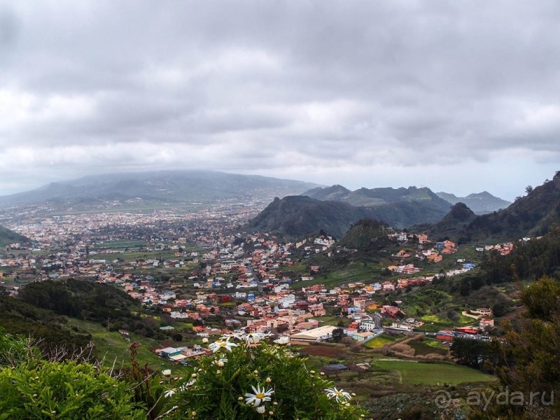 Пальма первенства 