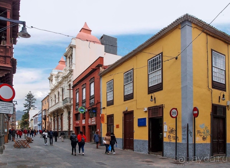 Пальма первенства 