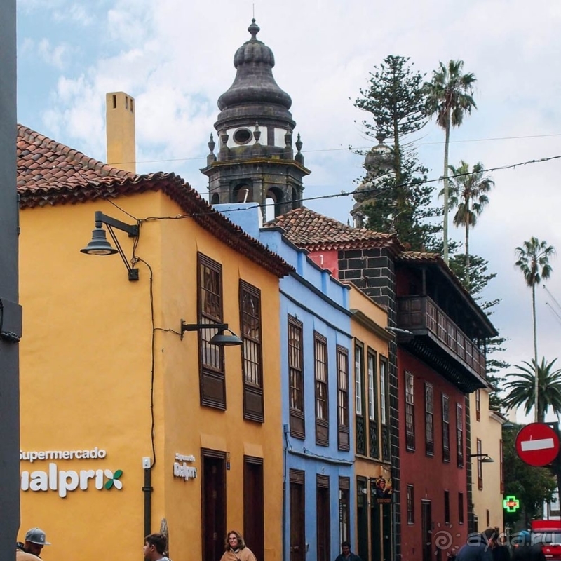 Пальма первенства 