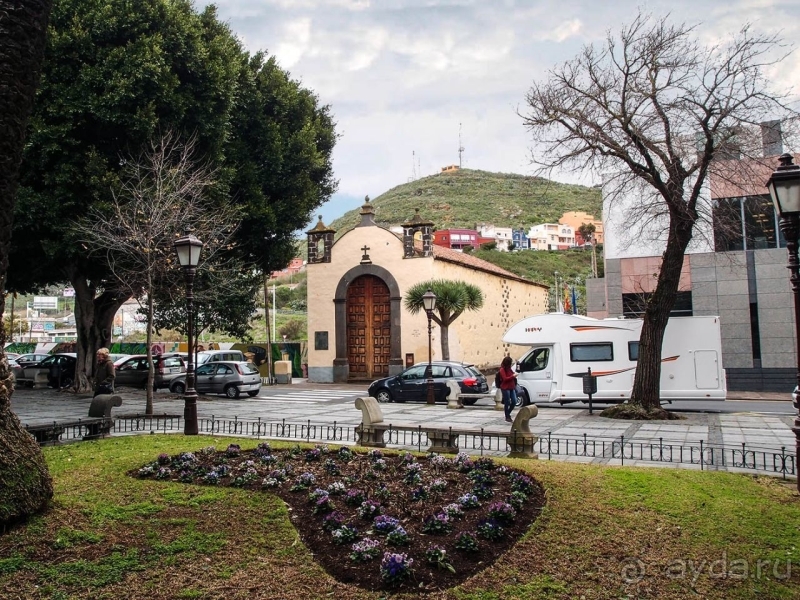 Пальма первенства 