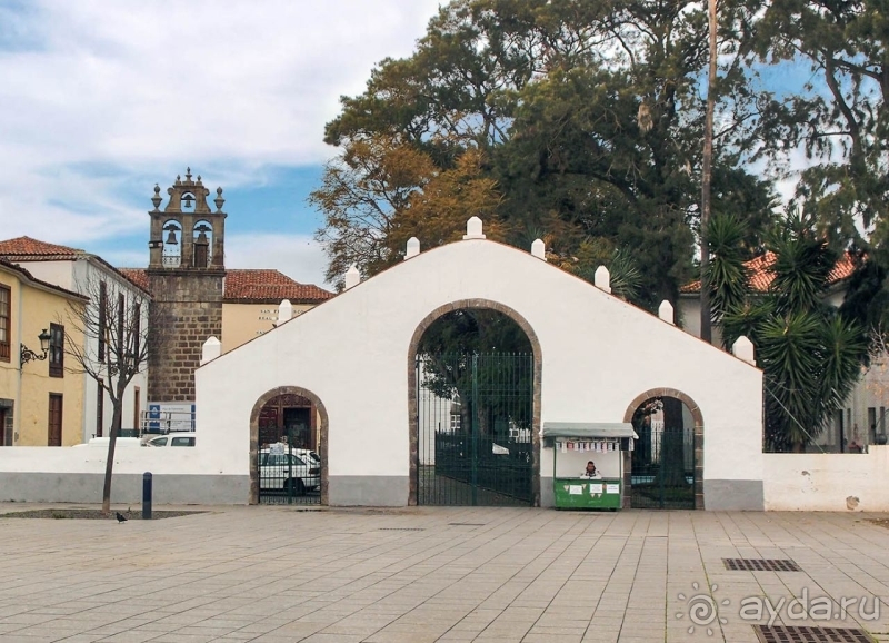 Пальма первенства 