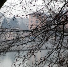 Альбом отзыва "Оранжевое безумие (Ивреа)"