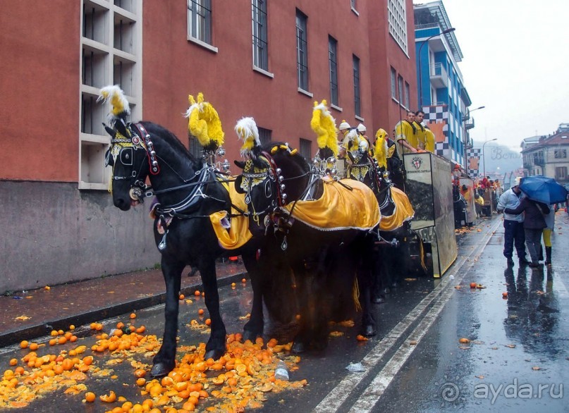 Оранжевое безумие (Ивреа)