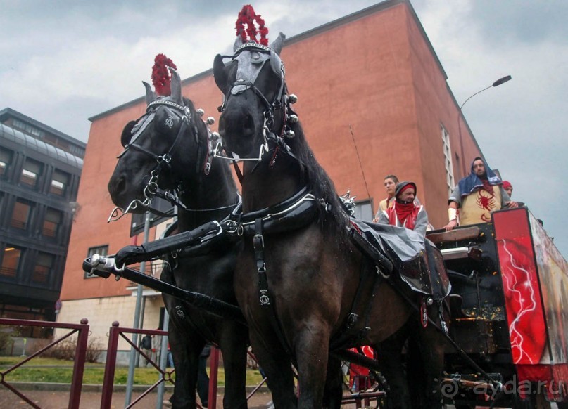 Оранжевое безумие (Ивреа)