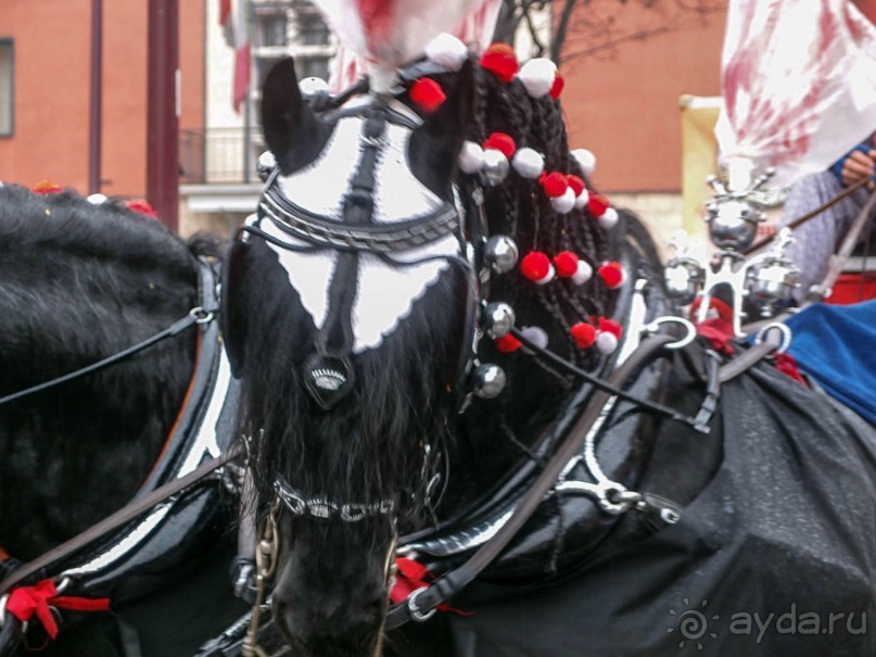 Оранжевое безумие (Ивреа)