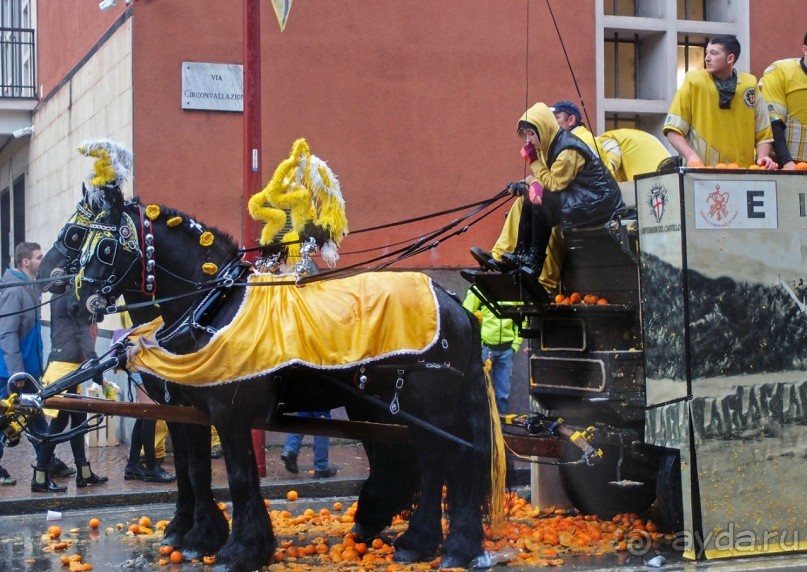 Оранжевое безумие (Ивреа)