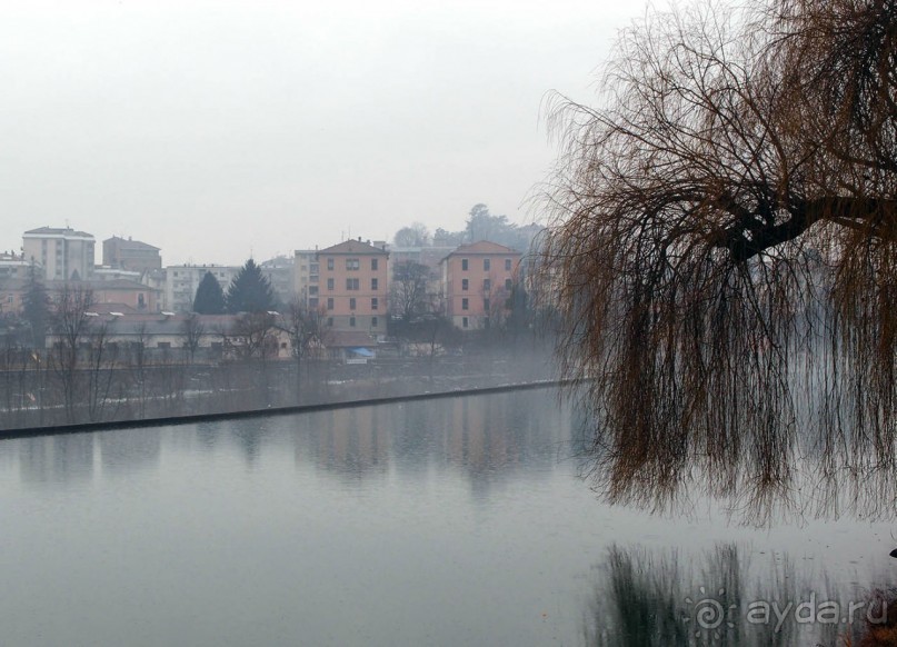 Оранжевое безумие (Ивреа)