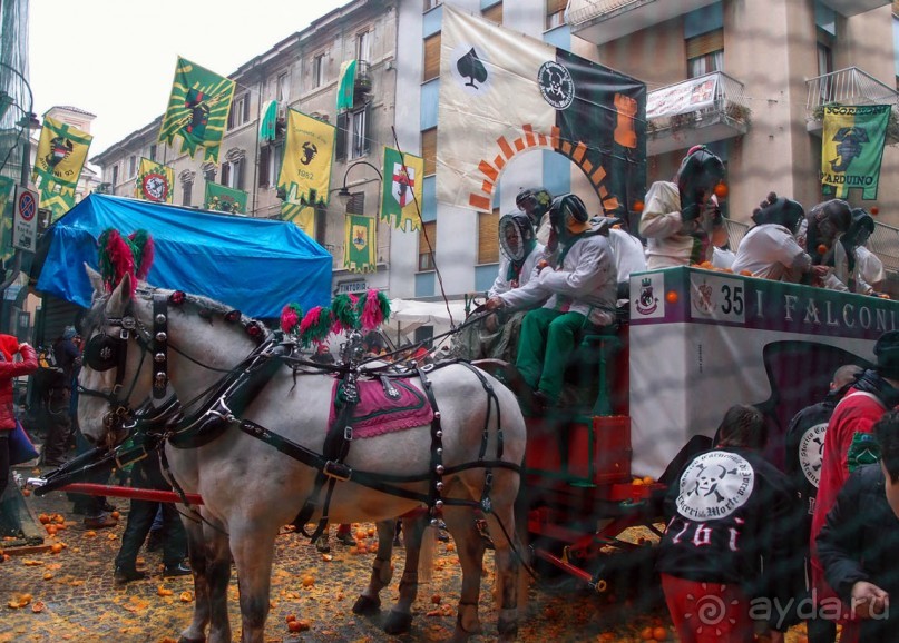 Оранжевое безумие (Ивреа)