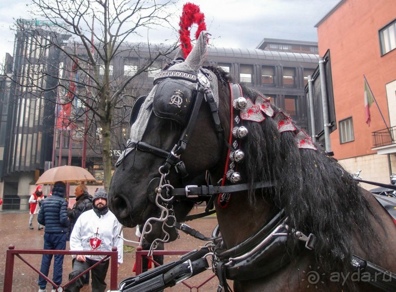 Оранжевое безумие (Ивреа)