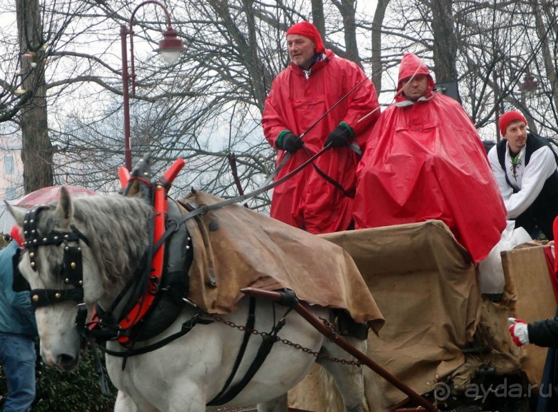 Оранжевое безумие (Ивреа)