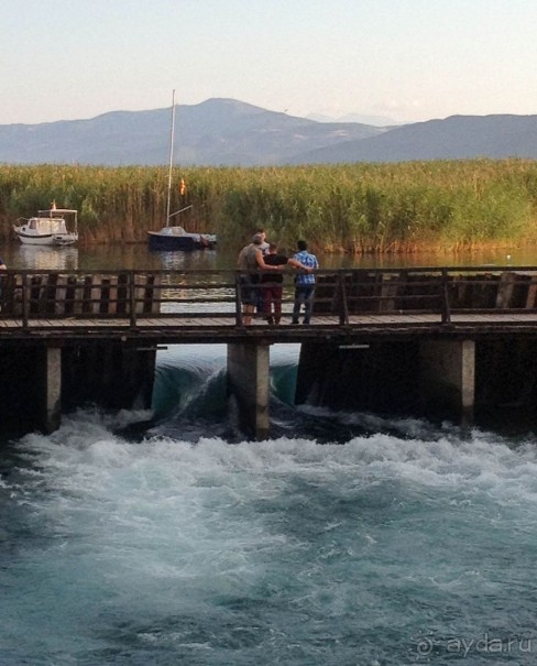 Чёрный Дрим, светлый Дрим