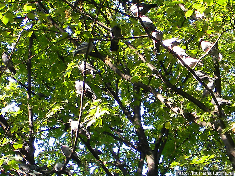 Венский городской парк