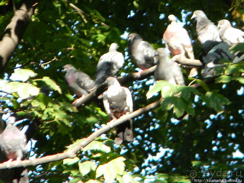 Венский городской парк