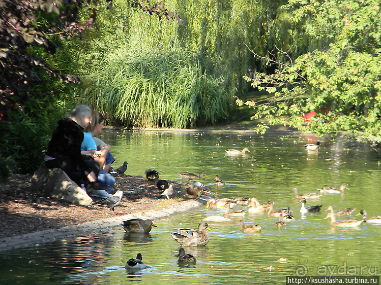 Венский городской парк