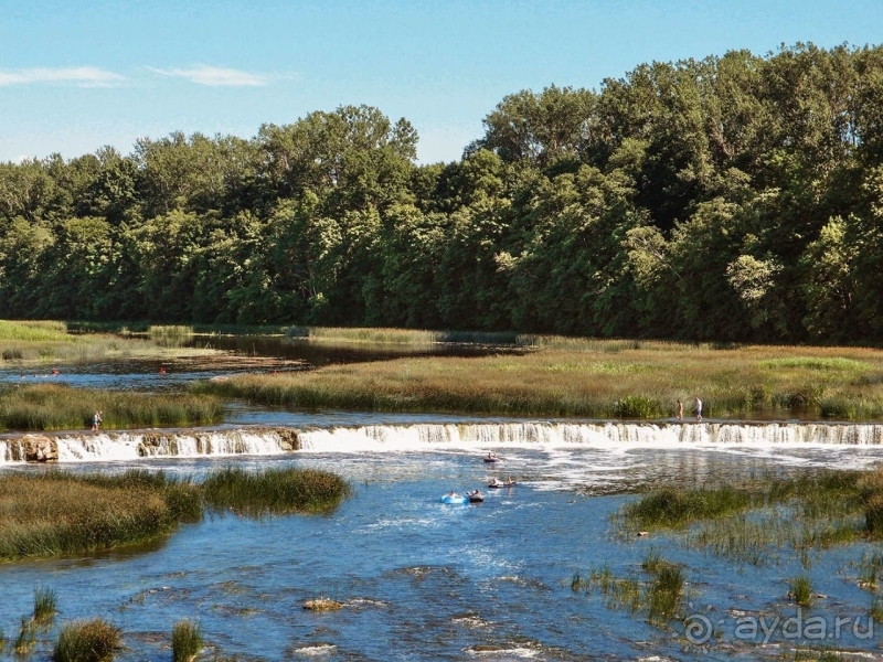 Ай да Ку́лдига! 