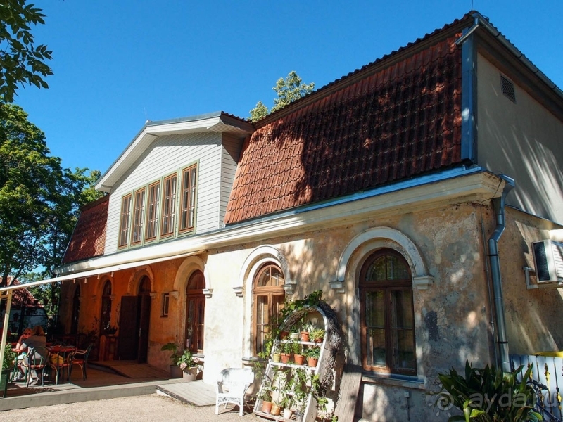 Ай да Ку́лдига! 