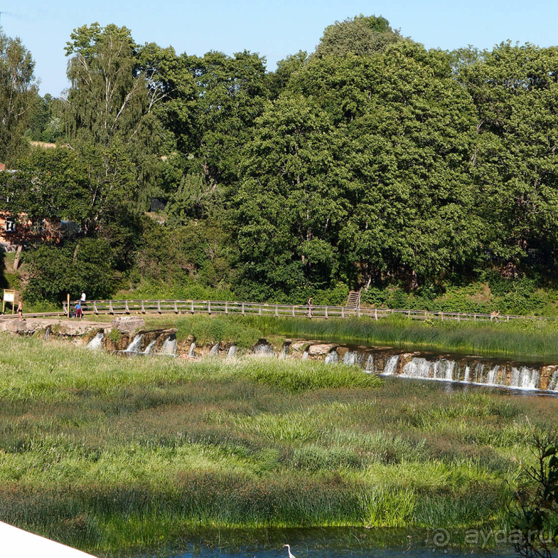 Ай да Ку́лдига! 