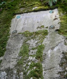 Кого же нам кормить орешками ?