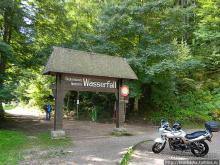 Кого же нам кормить орешками ?