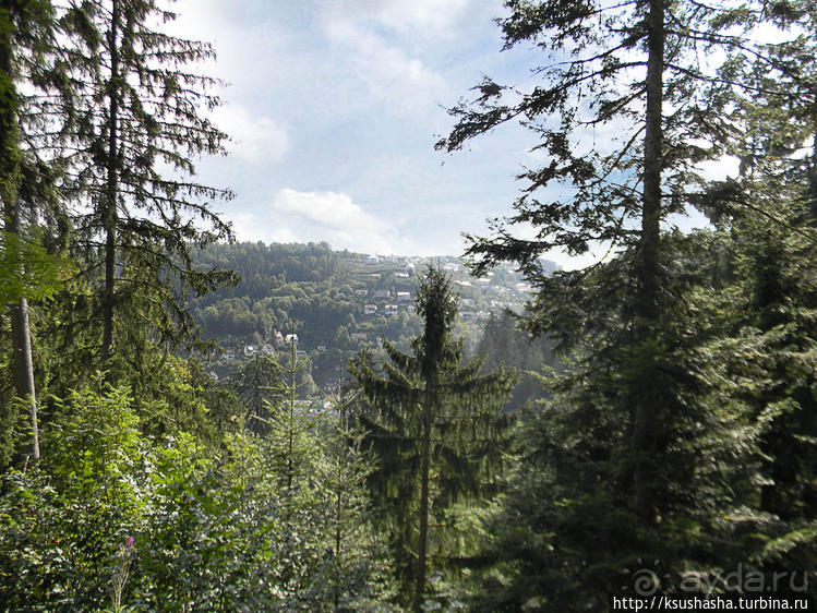 Кого же нам кормить орешками ?