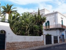 Полиньяно . Одной открытки для