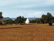 Полиньяно . Одной открытки для