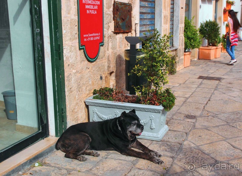 Полиньяно . Одной открытки для