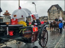 Кто такие Ваггис и зачем нужны "Плакетте"