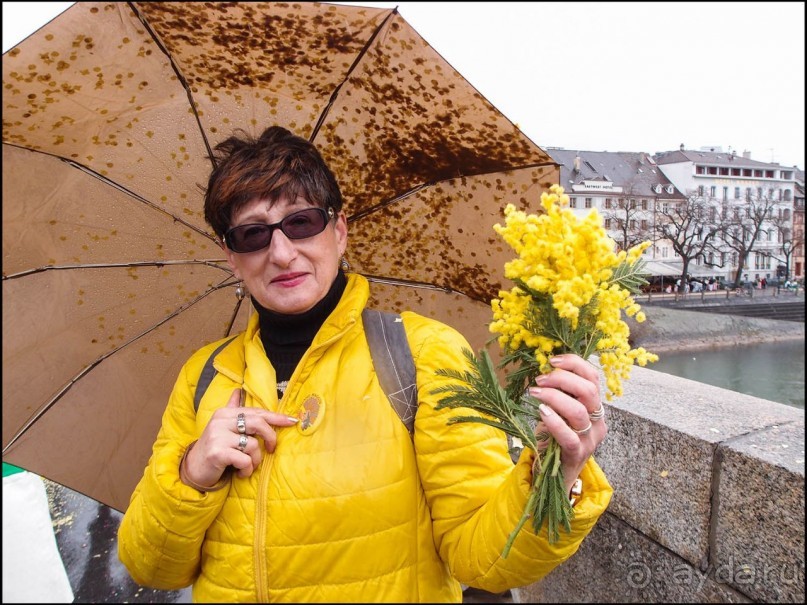 Кто такие Ваггис и зачем нужны "Плакетте"