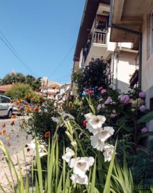 Самуилова твердина