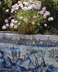 Дворец Маркиза — типичный и необычный