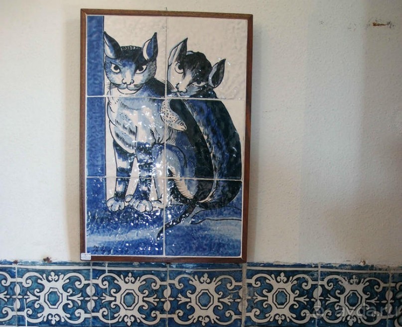 Дворец Маркиза — типичный и необычный