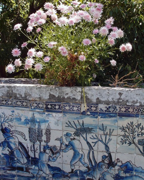 Дворец Маркиза — типичный и необычный