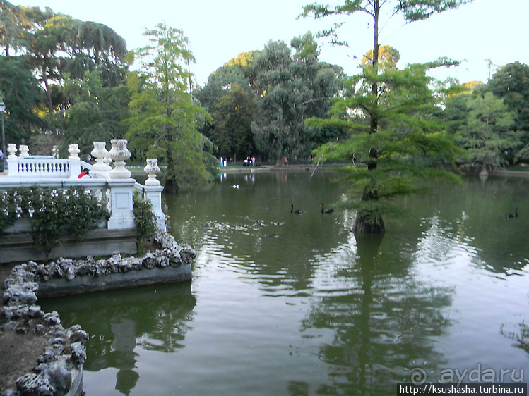 Парк Ретиро — А все бегут, бегут, бегут