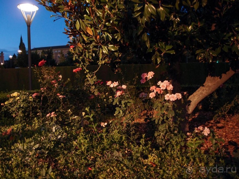 Прогулки по Гранаде