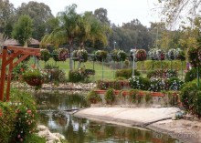 Воплощённая Утопия